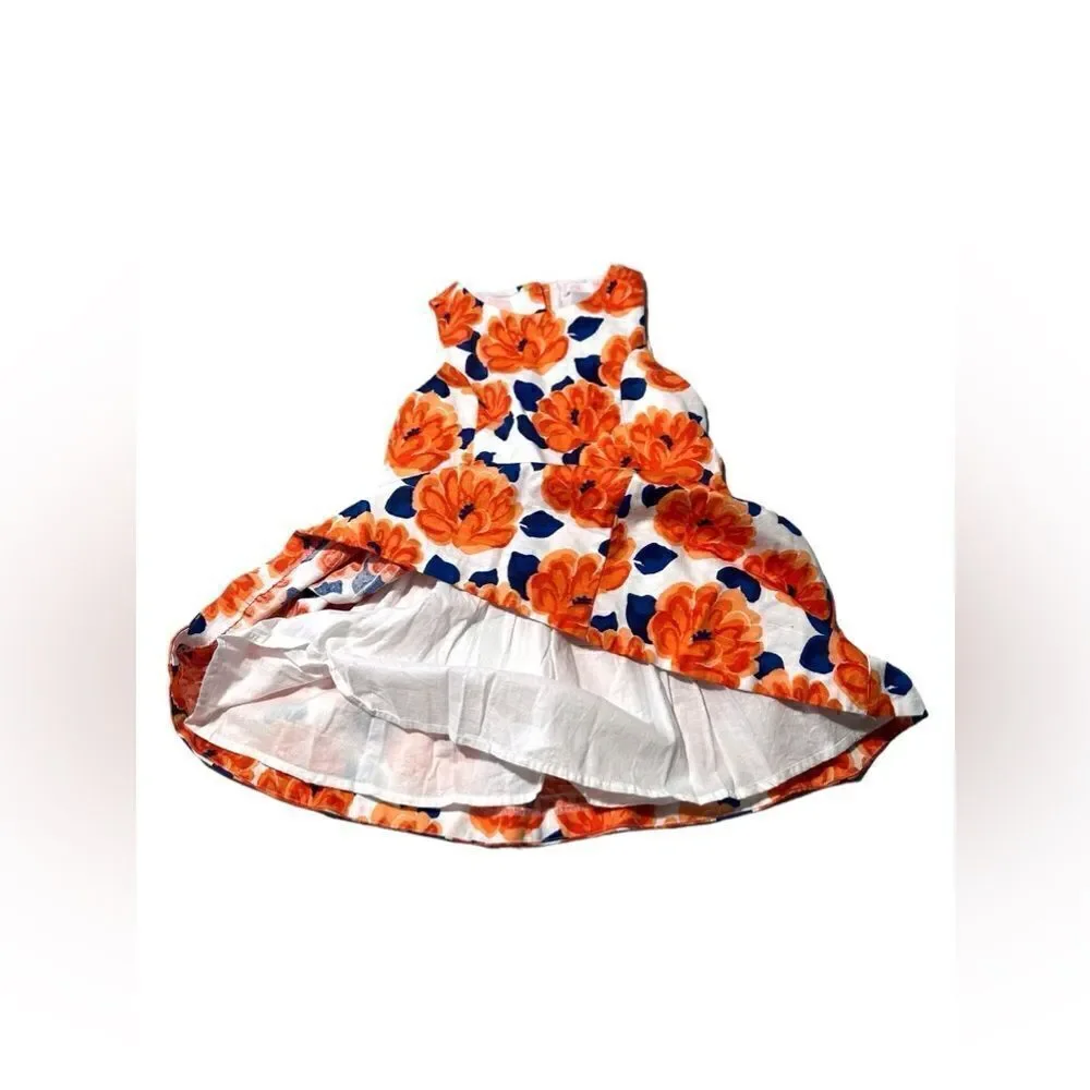 JANIE AND JACK Toddler Kids THE perfect floral dress Size 4